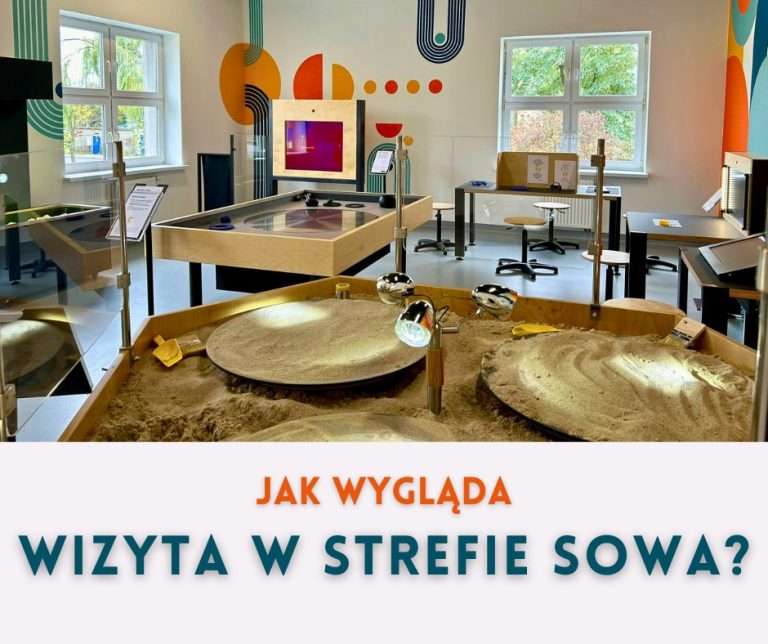 Jak wygląda wizyta w Strefie SOWA?